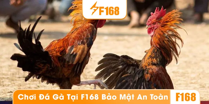 Cá cược đá gà tại nhà cái F168 có độ uy tín và bảo mật cao
