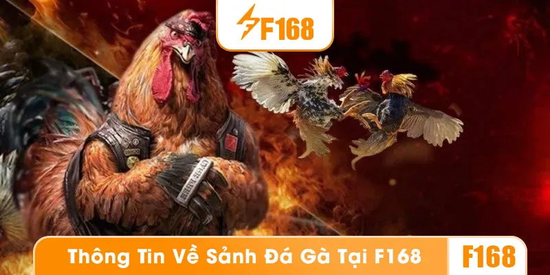 Khám phá sảnh đá gà F168
